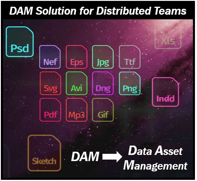 Data Asset Management Tool - 398398938939