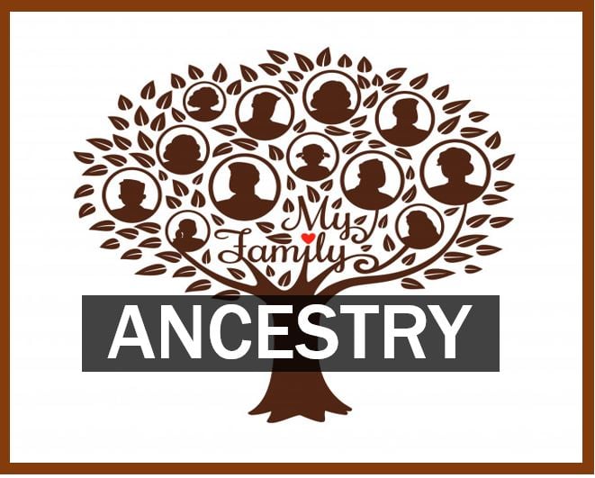 Benefits of Ancestry Research - Market Business News