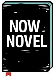 Now Novel logo - image