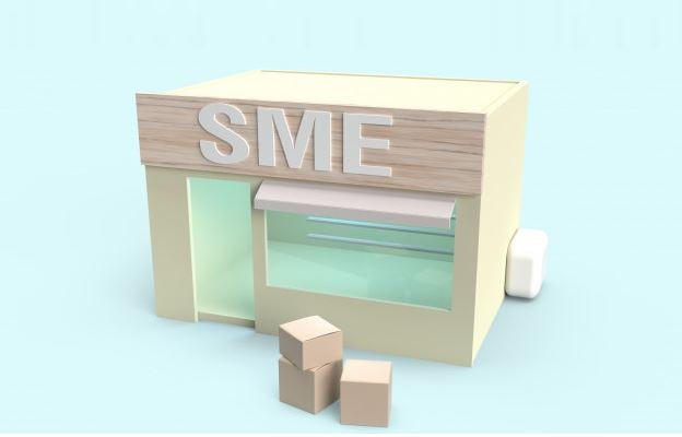 SME Meaning: What Does the Popular Term SME Mean and Stand For? • 7ESL