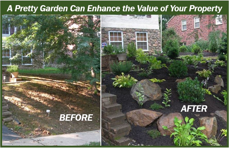 A garden - before and after - image