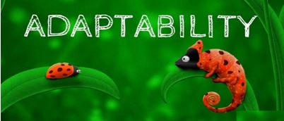 Adaptability - skyrocket your business skills