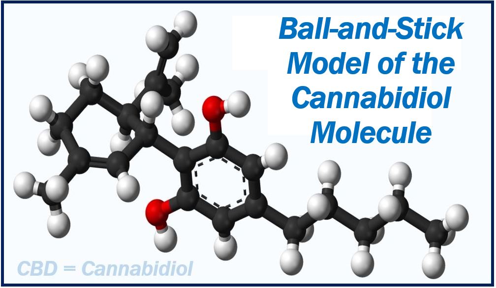 Ball and stick model of the cannabidiol molecule - CBD image