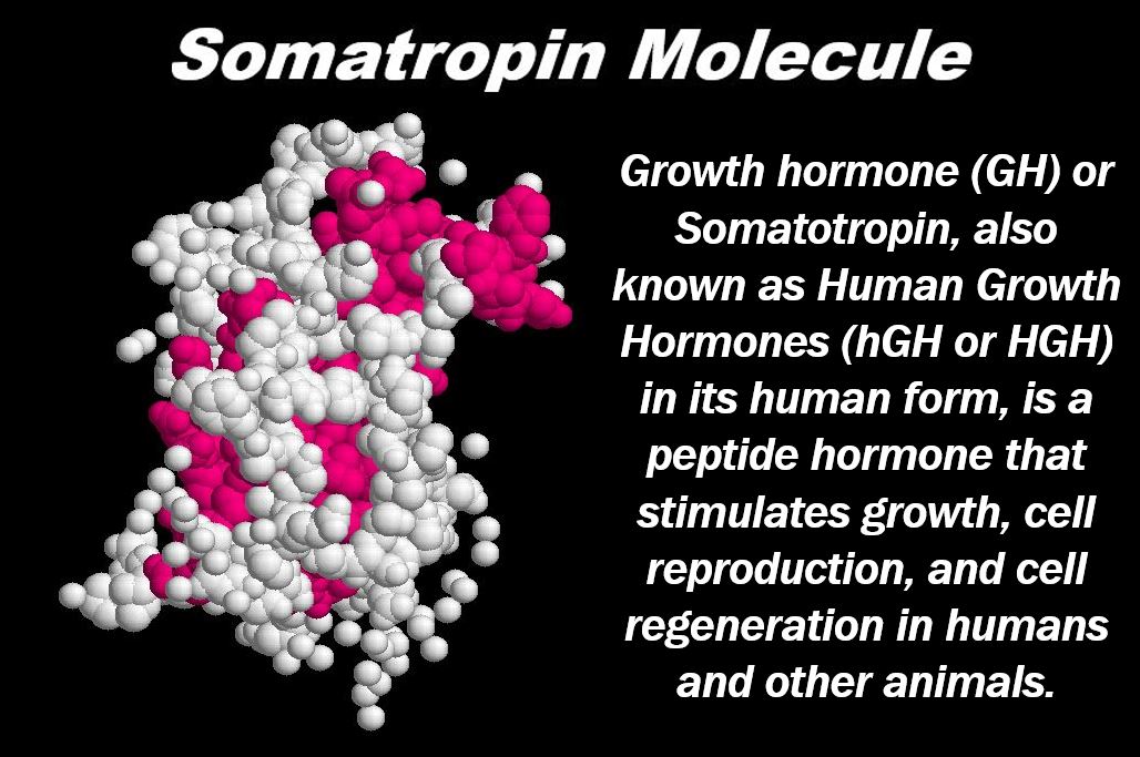 Hormone Replacement - Why HGH Is So Popular in California