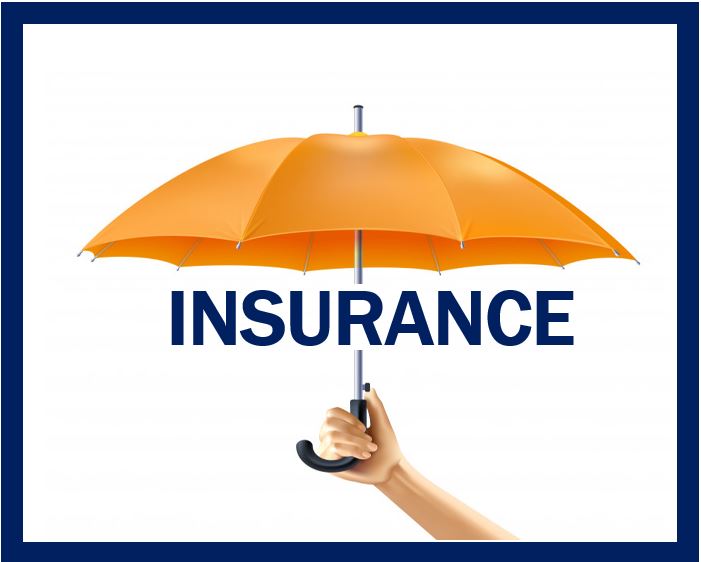 Insurance thumbnail - image 4993992