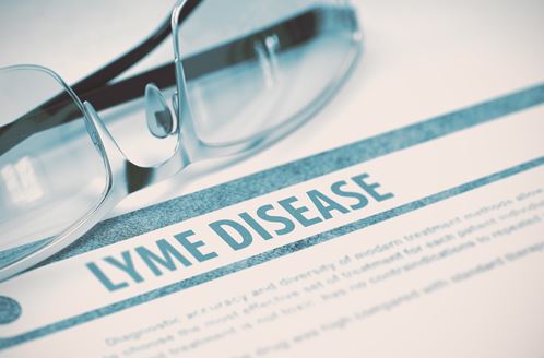 Lyme disease symptoms you should be aware of 4444