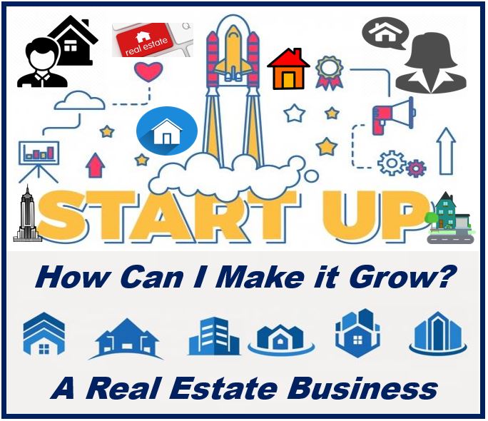 Startup estate agency - image 44444
