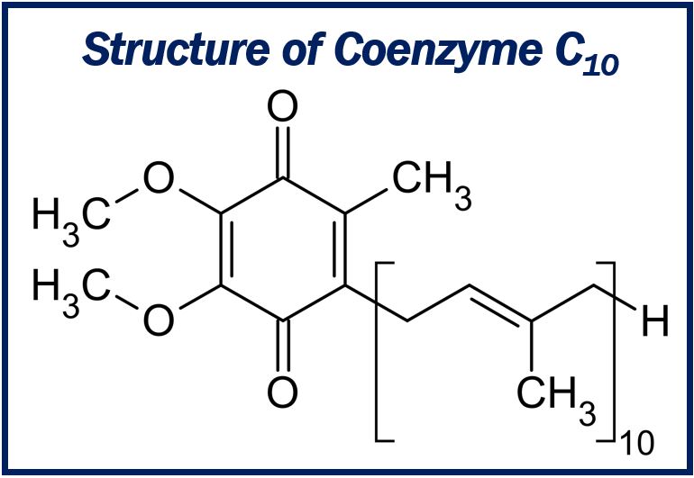 Structure of Coenzyme C10