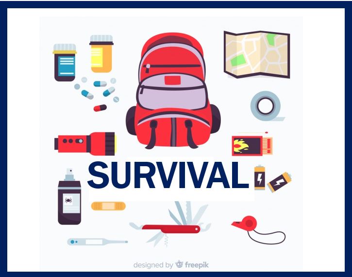 Survival Gear And Tips For Emergencies For When SHTF