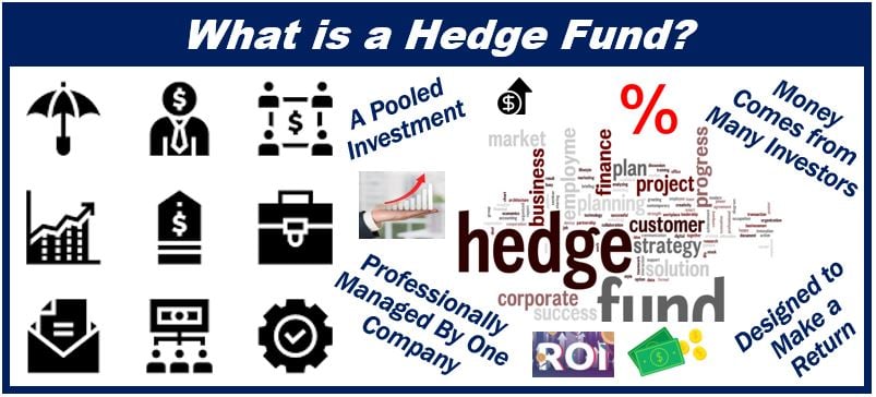 What is a hedge fund - image 00x3300