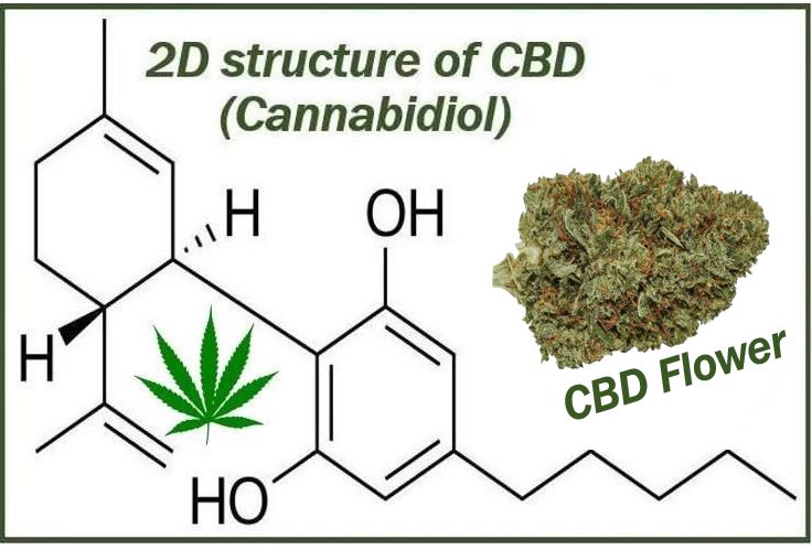 2D structure of CBD - and CBD flower