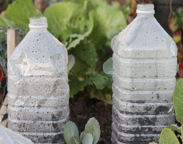 Bottle mini greenhouse - 349939329