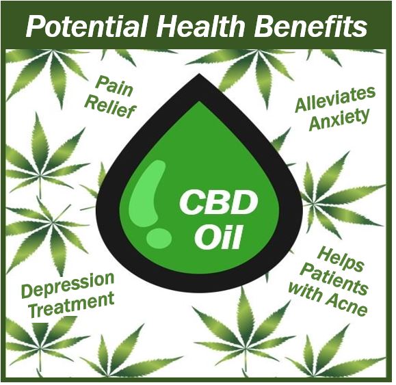 CBD Potential Health Benefits - image 49838948
