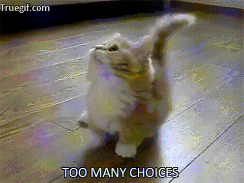 Cat-kitting-looking-up-GIF