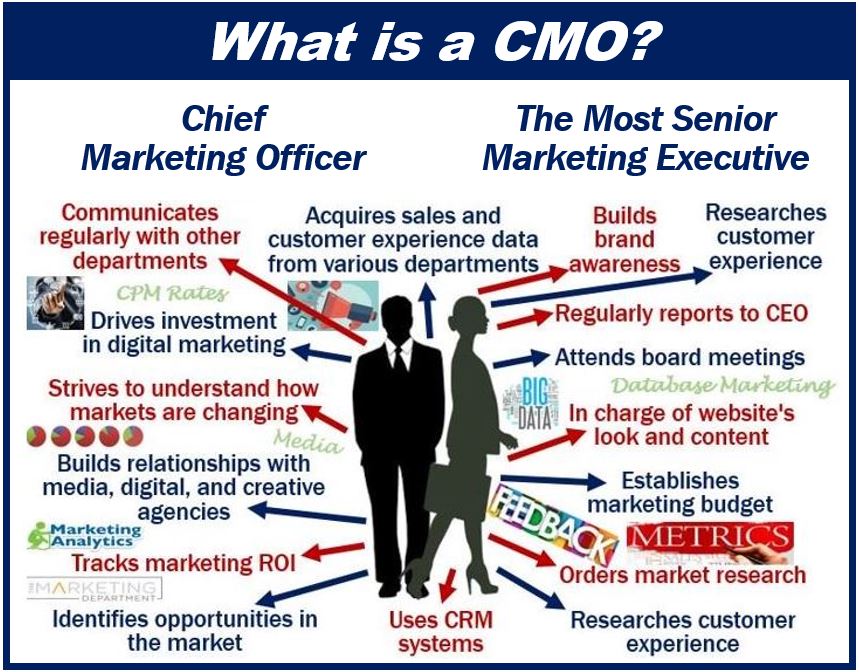 5 Reasons you should hire a fractional CMO Market Business News