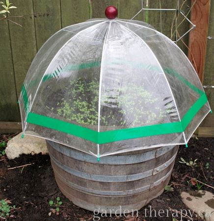 Grow your plants under an umbrella - image