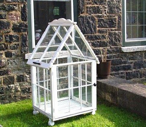 Old window - grow your plants in them