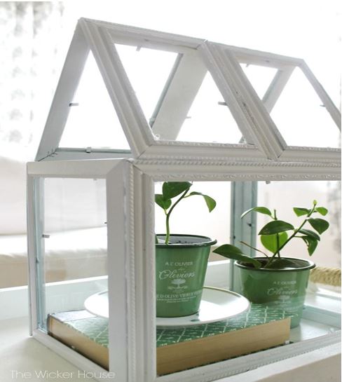 Picture frame mini greenhouse - image 43