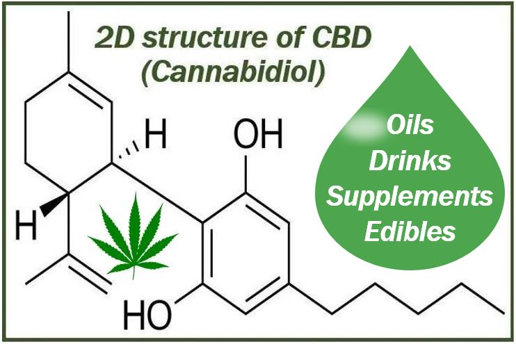 Things students need to know about CBD - image for article540vv93094094