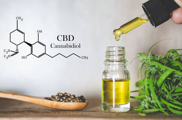 2 - CBD oil for dogs