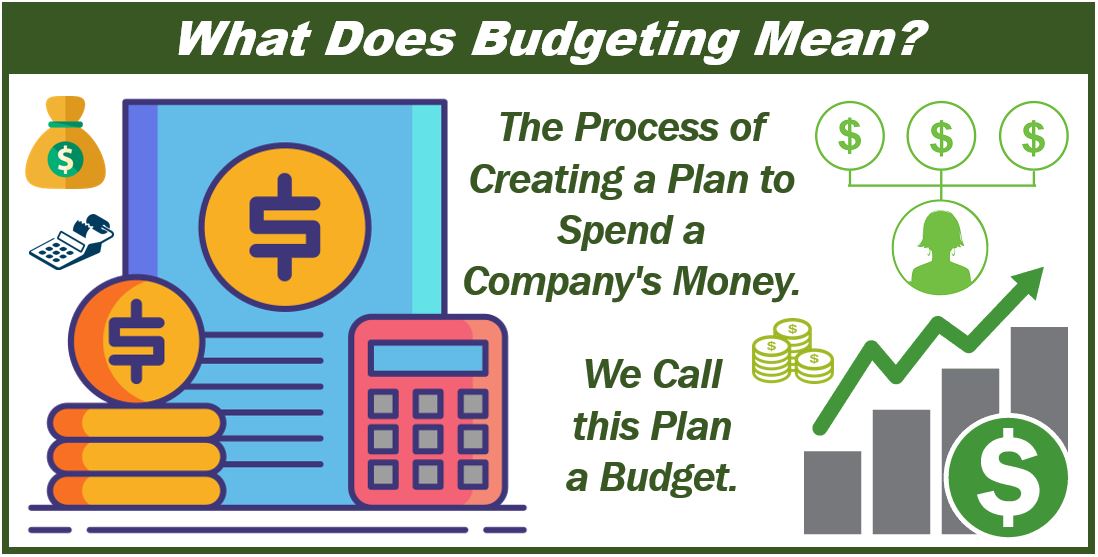 pro forma budget meaning