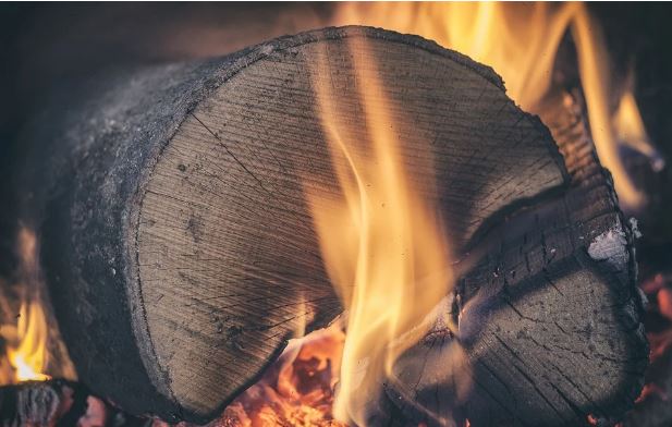 Buying firewood this winter - wood - fire - 223