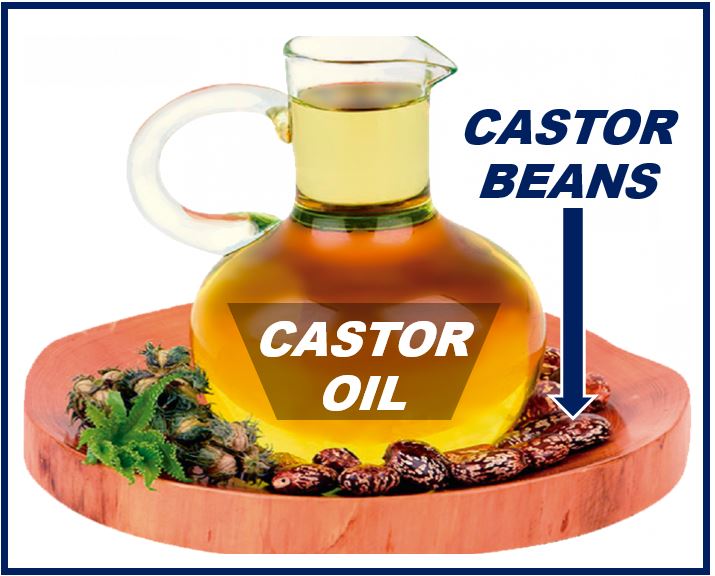 Castor Oil - image for article 049398083404890488