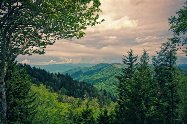 Great Smoky Mountain in the USA