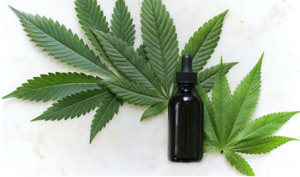 Marijuana leaf and bottle of oil