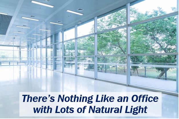 Office with natural light - image for article - i4344