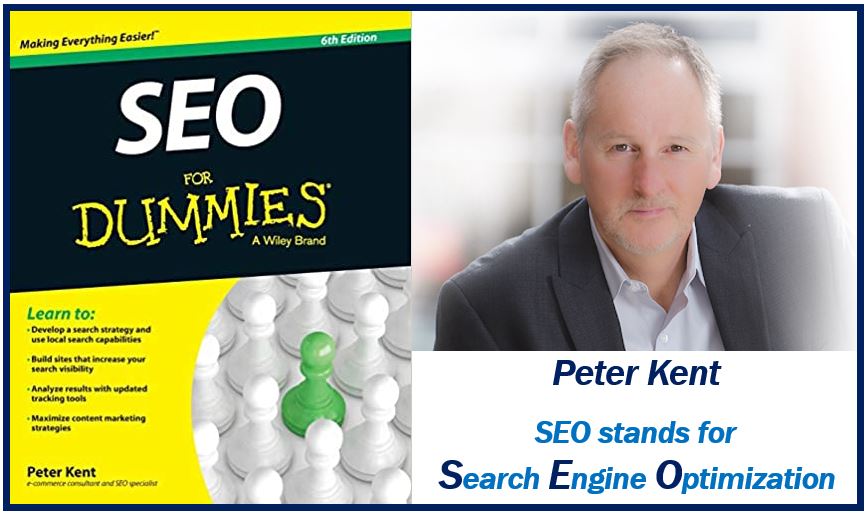 Peter Kent - SEO expert witness