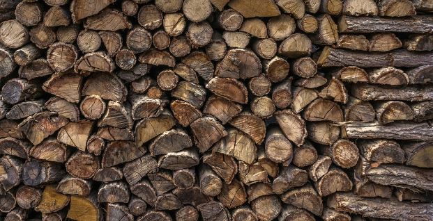 Pile of logs - image 49939