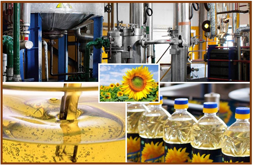 Sunflower Oil Processing Types - 3939393939