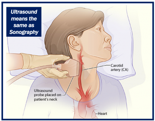 Ultrasound or sonography