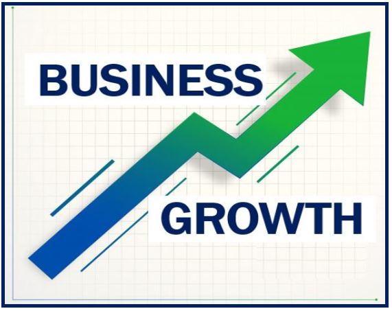 Business Growth