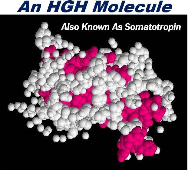 An HGH molecule - Boost HGH levels
