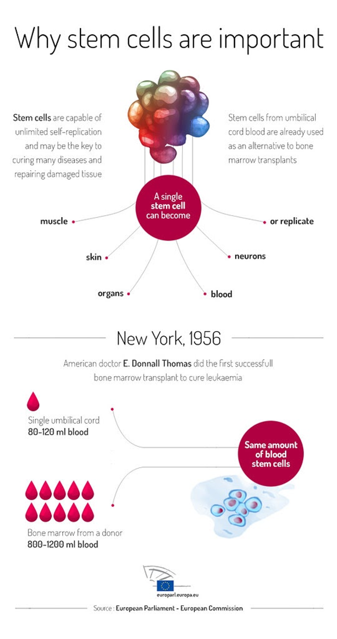 stem cell therapy for ms