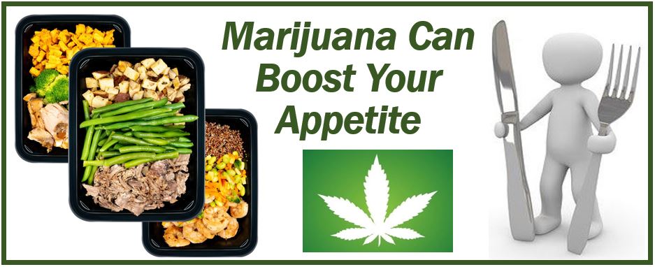 Marijuana can boost your appetite - 4949499494