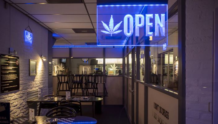 Open a cannabis dispensary - image for article 498398938938