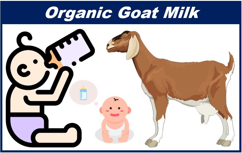 Organic goat milk - image for article