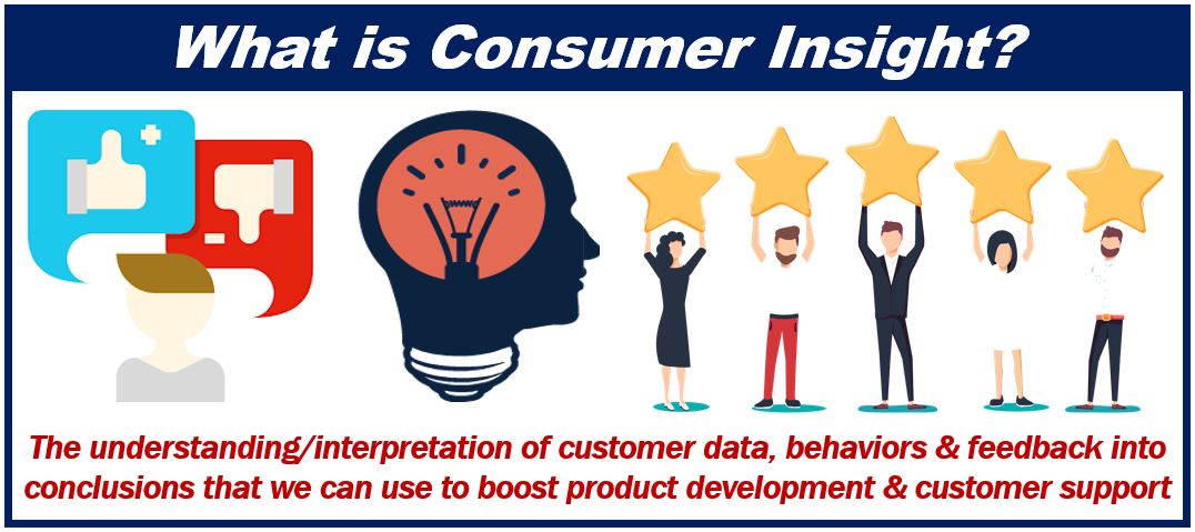 What is consumer insight - Benefits of Salesforce Integration with Business Application
