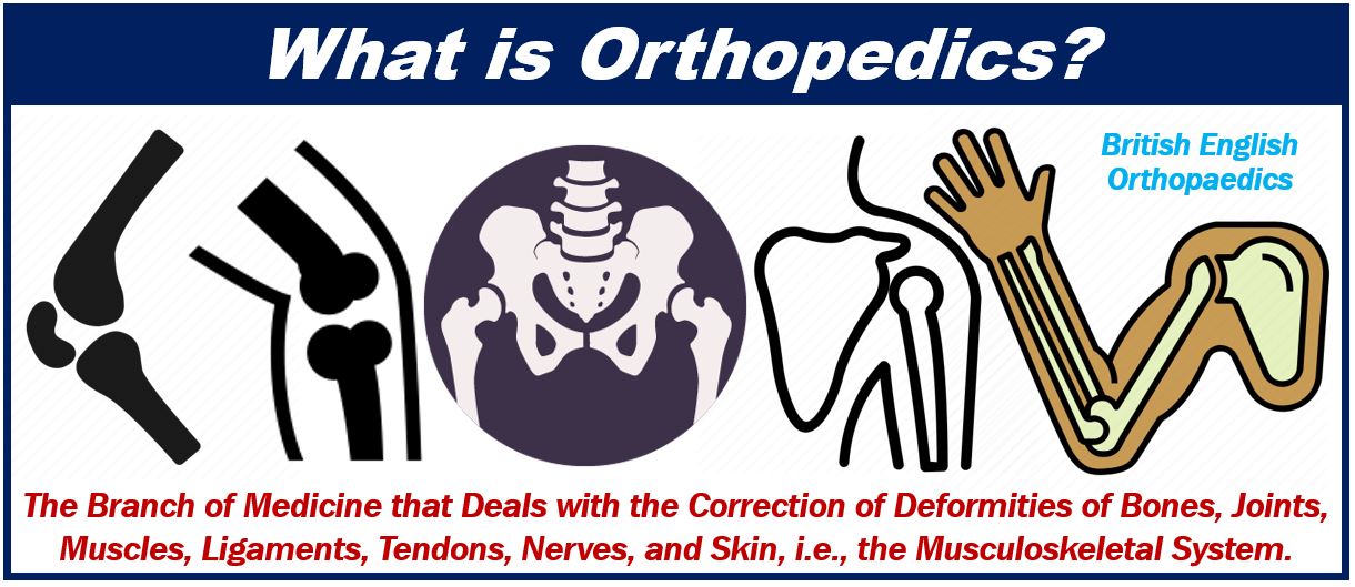 What is orthopedics - image for article 49839849898