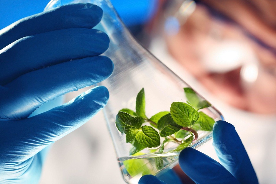 5 Biotech Startups Changing the Industry in 2020 Market Business News