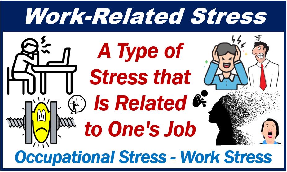 22 3 Work-Related Stress - mental health