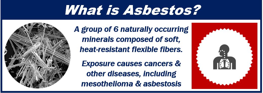 Asbestos - article on keeping workplaces free of asbestos - 499393