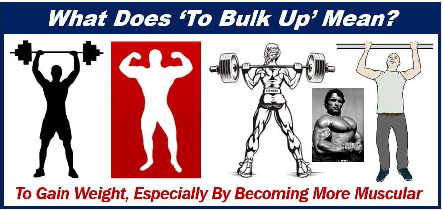 What does bulk mean?  Learn English at English, baby!
