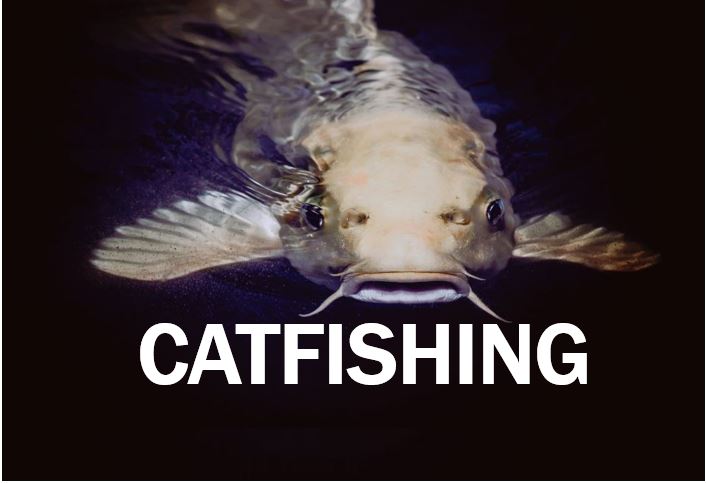 what-is-catfishing-definition-and-examples-market-business-news