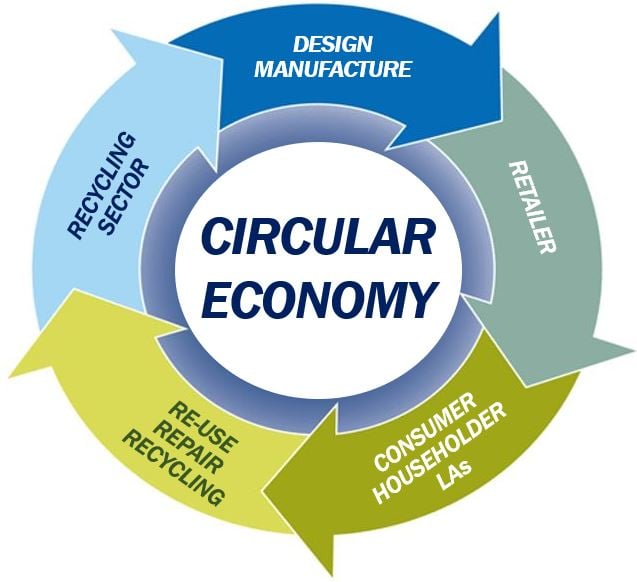 What is a circular economy? Definition and examples