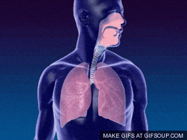 9 Tips for Healthy Lungs - Market Business News