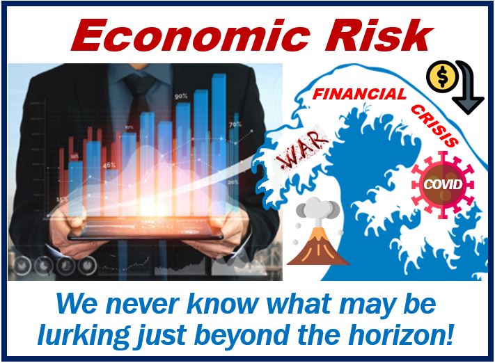 what is economic risk in business